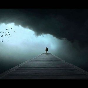 Meet your Posher, Hector